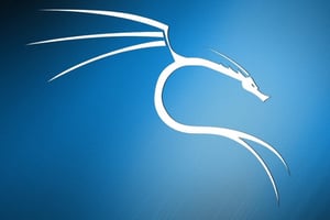 Kali Linux para Iniciantes